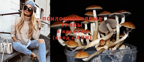 PSILOCYBIN Балабаново