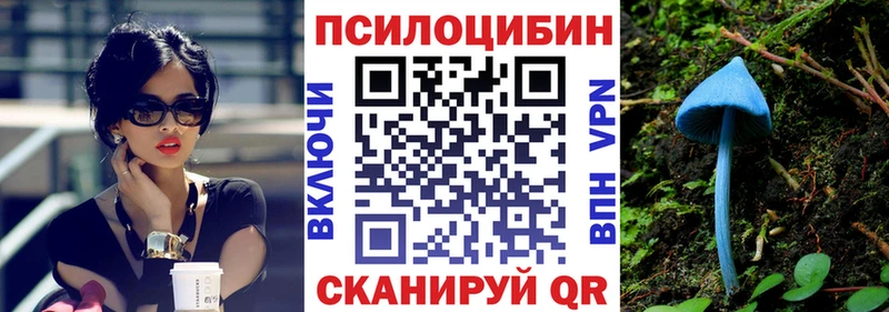 даркнет сайт  Афипский  Псилоцибиновые грибы ЛСД 
